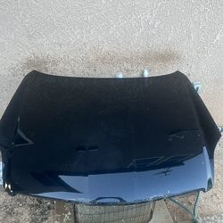 2003-2004 Infinity G35 Hood