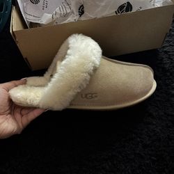 Ugg Slippers