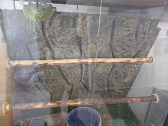 GT python xl tall tank
