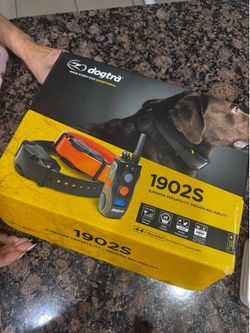 Dogtra E-collar