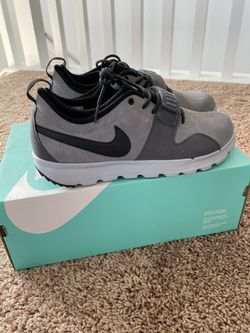 Nike Sb Trainers