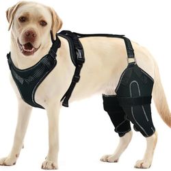 Lispoo Acl Dog Brace