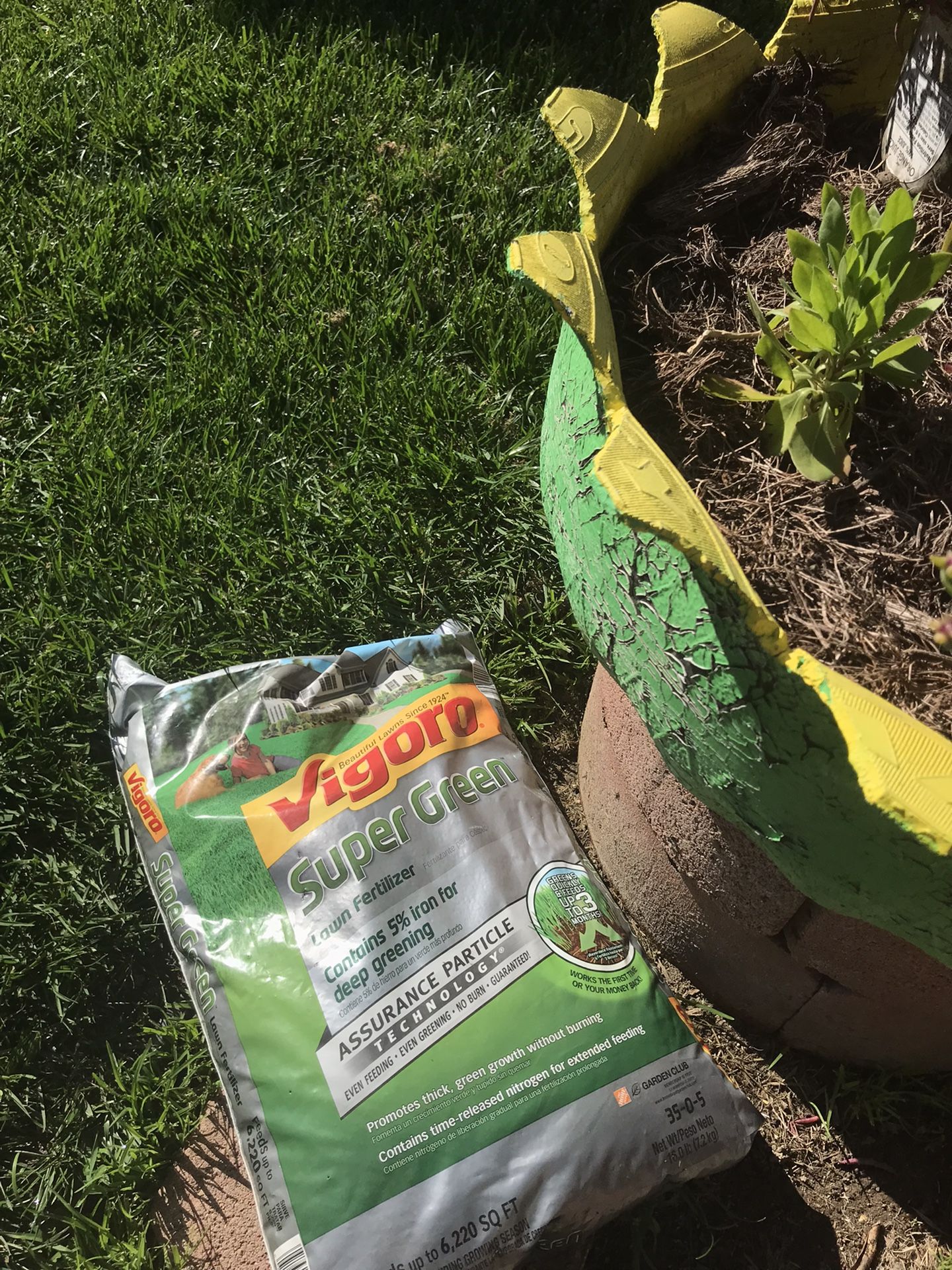 vigoro lawn fertilizer