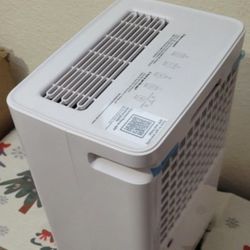Whoy Dehumidifier 