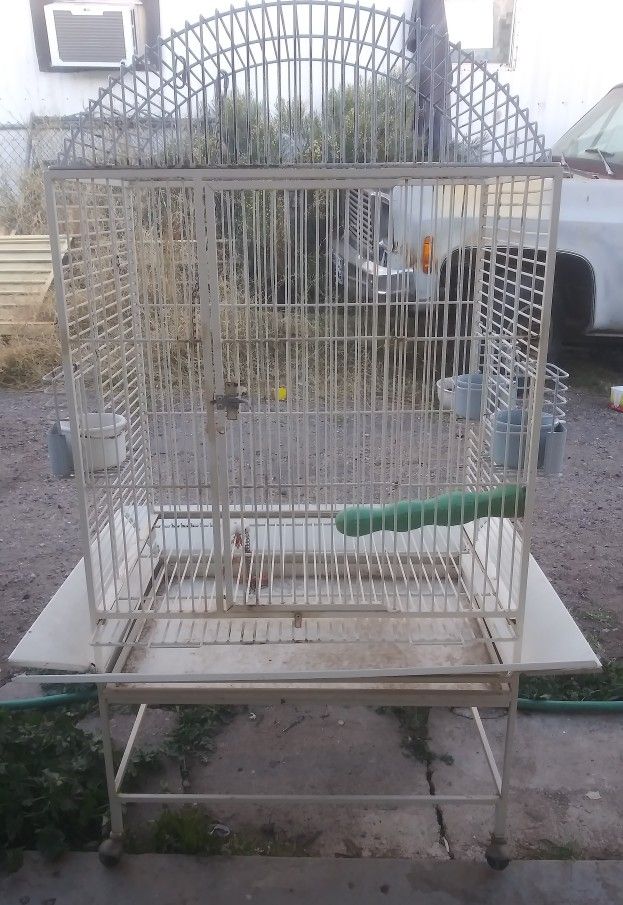 Big Bird Cage (2)