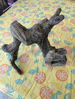 Reptile dome lamp fixture