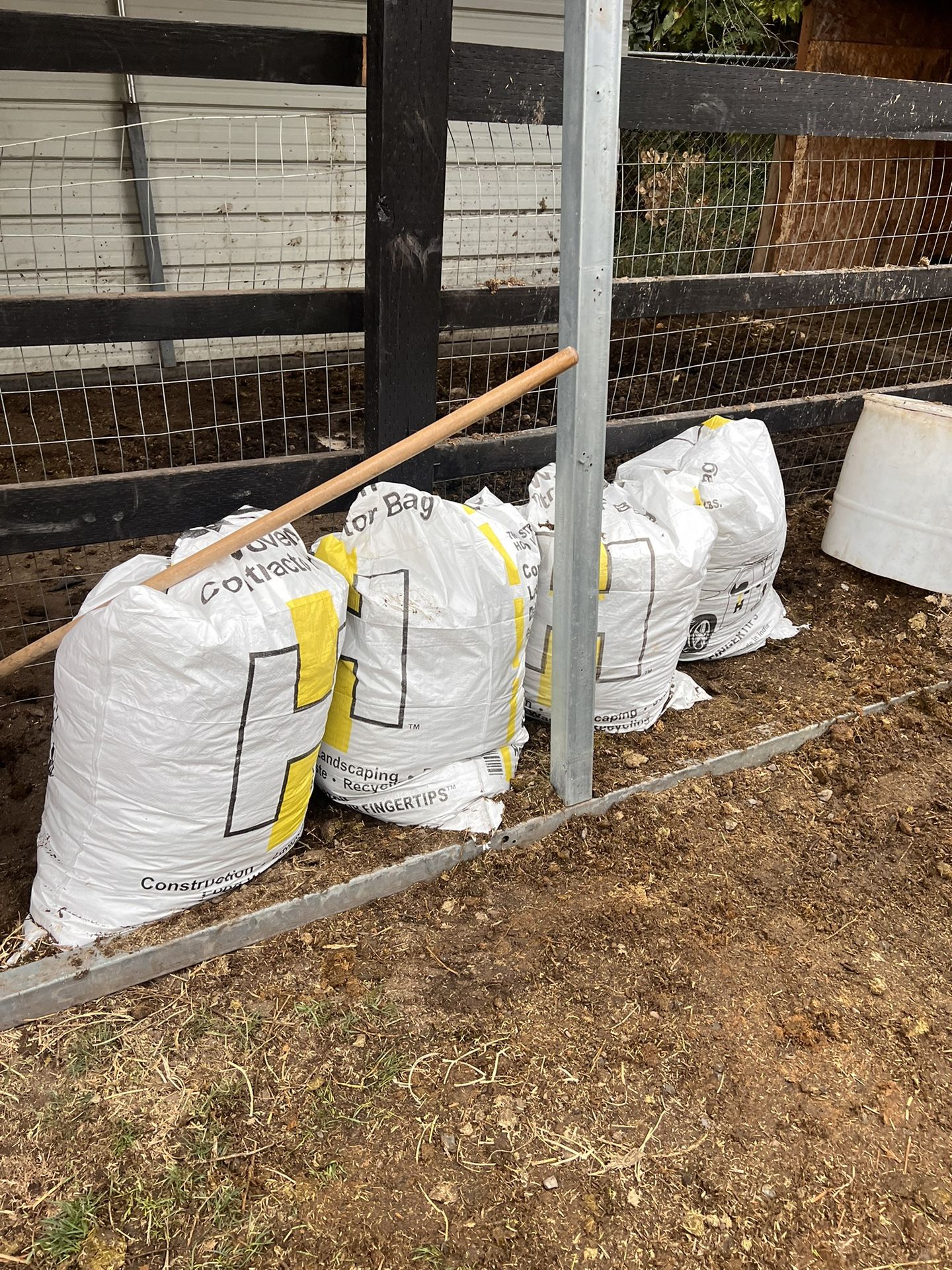 Horse Manure