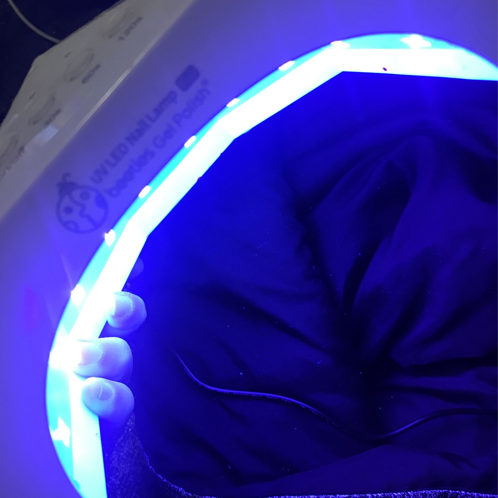 Beetles Gel Lamp