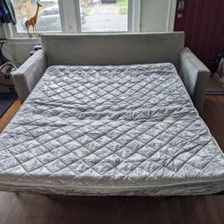 FREE Foldout Couch