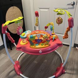 Fisher-Price Pink Petals Jumperoo