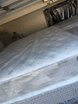 California king size bed mattress king koil extended life medium tight top Serta Sealy Stearns & foster Aireloom Kluft hotel collection beautyrest bla