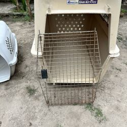 Big Dog Kennel