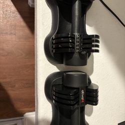 Adjustable Dumbbells Set