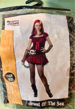 Pirate Girl Costume