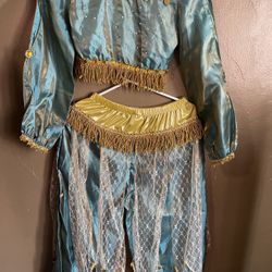 Aladdin Princess Jasmine Costume
