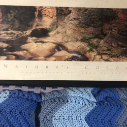 Natures Colores By Lonna Turner 36x14 Framed Artwork