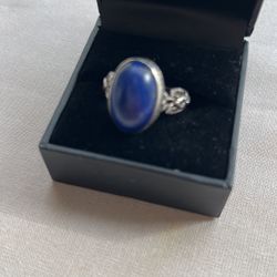 Silver Ring With Lizard Gem Stone 