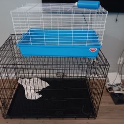 Dog Kennel And Bunny Cage 