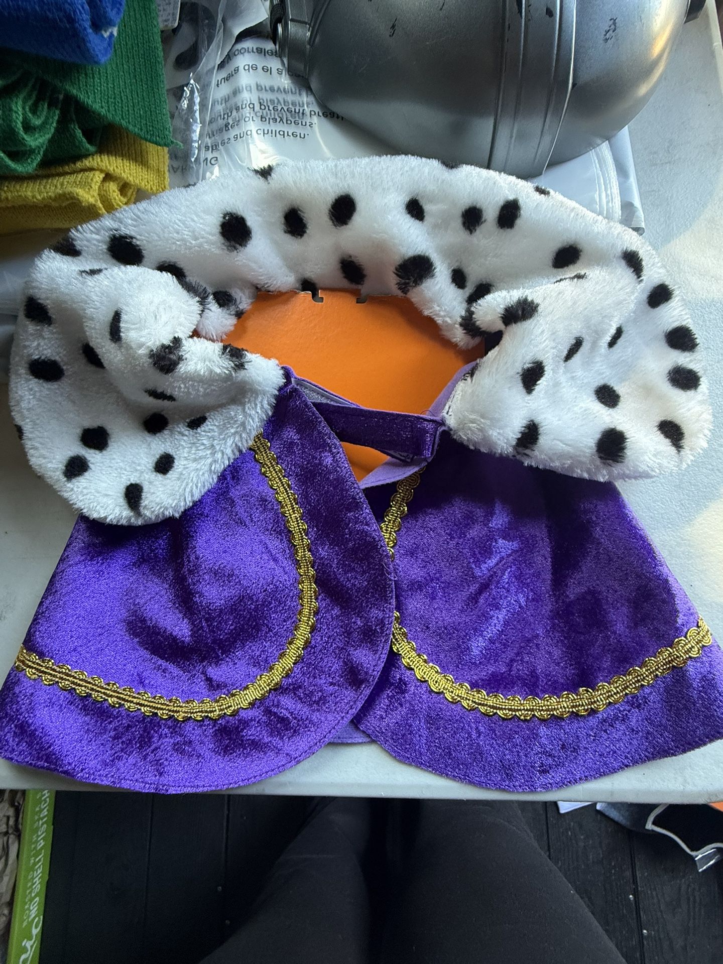 Halloween Dog Costume $5