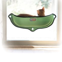 2 Window Bed For Kitten 