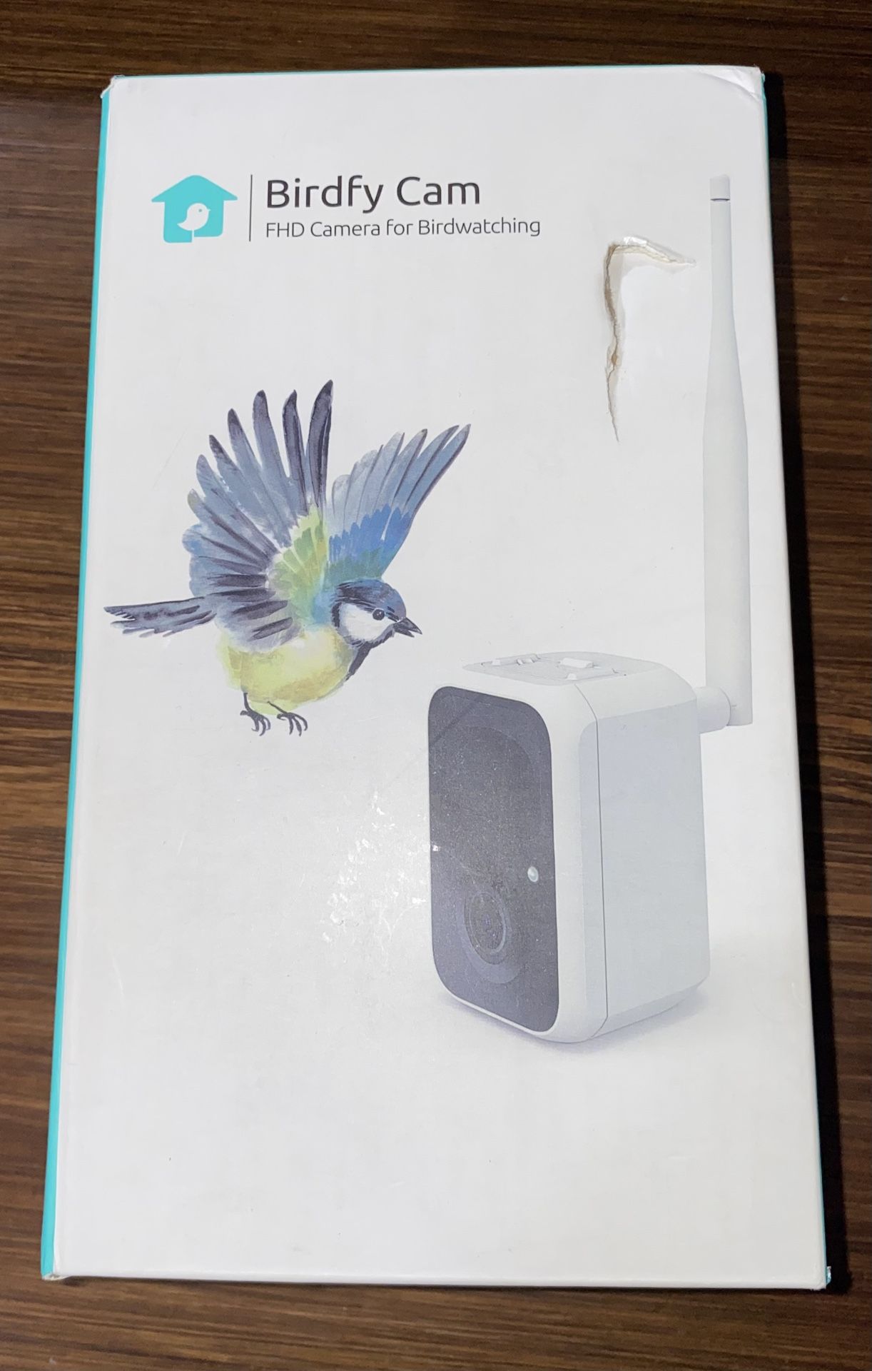 🐦 Birdfy AI Camera for Birdwatching – Smart Motion Detect – Deal!