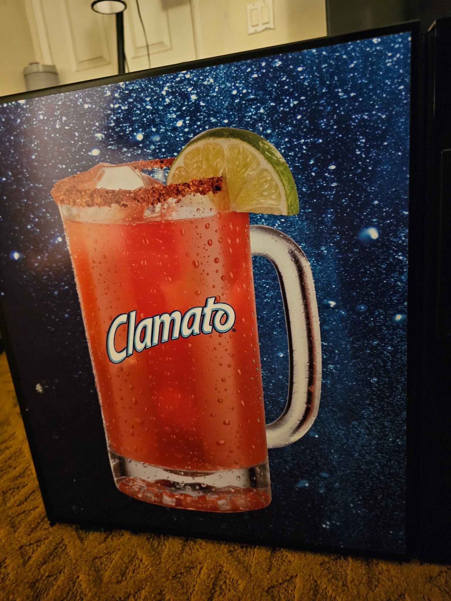 Mini Fridge