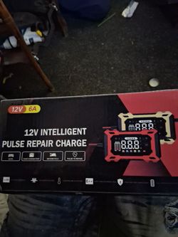 12v intelligent pulse repair charge with lcd screen
