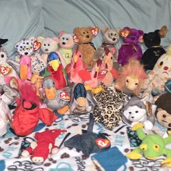 Collectables