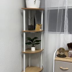 Shelves