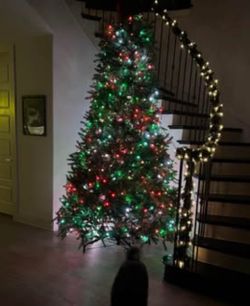 Moving - MUST GO - Christmas tree