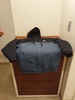 The north face jacket