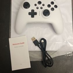 WIRELESS NINTENDO SWITCH CONTROLLER 