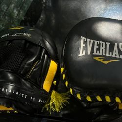 Everlast punching mitts Bran New For Only 39$
