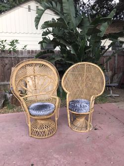 BEAUTIFUL PEACOCK CHAIRS 💫