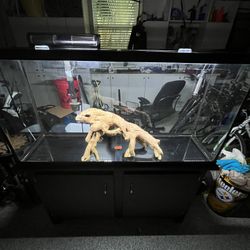 60 Gallon MarineLand Fish Tank With Stand