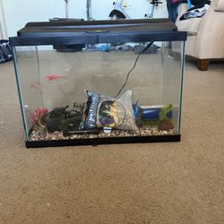 Fish Tank 20 Gallon