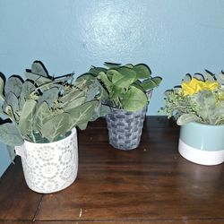 Faux Plants OBO