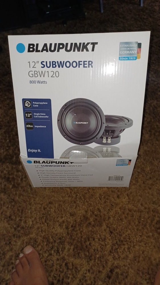 Blaupunkt 12 Subwoofer Speakers