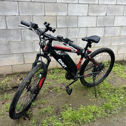 QNUT E-Bike
