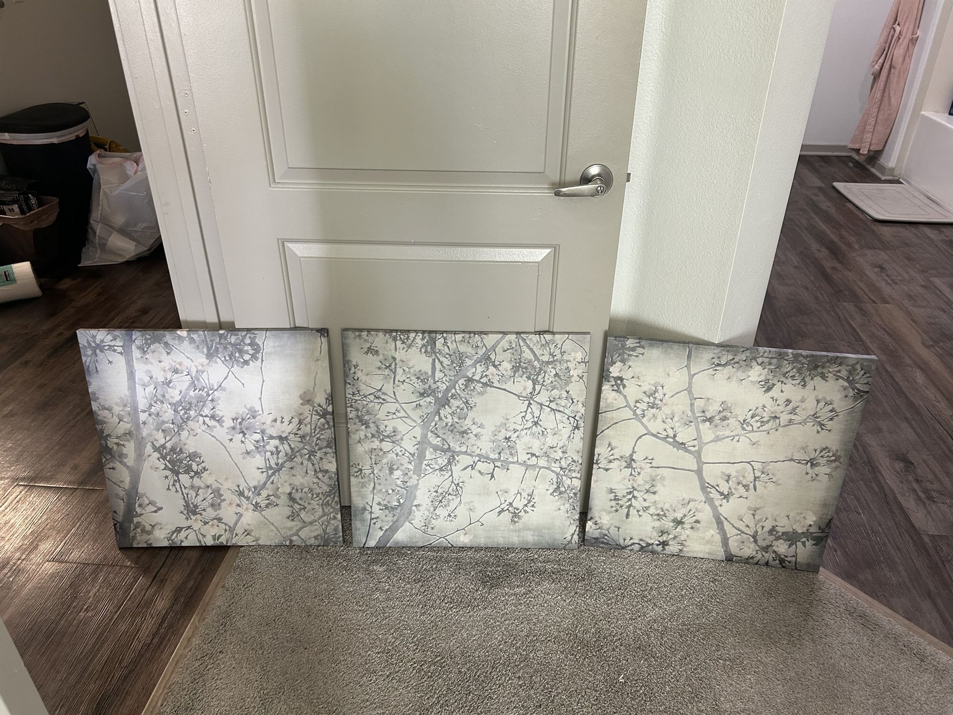 3-Piece Canvas Wall Art Set – $20 OBO