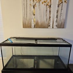 75 Gallon Tank With Stand