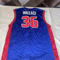 Rasheed Wallace DETROIT PISTONS Reebok JERSEY Blue Clean Mens Large Vintage