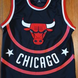 Men's Chicago Bulls Jersey Size Medium 66 Number NBA Jordan Pippen Rodman Kerr
