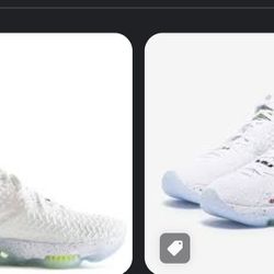 LeBron xvii Nike shoes