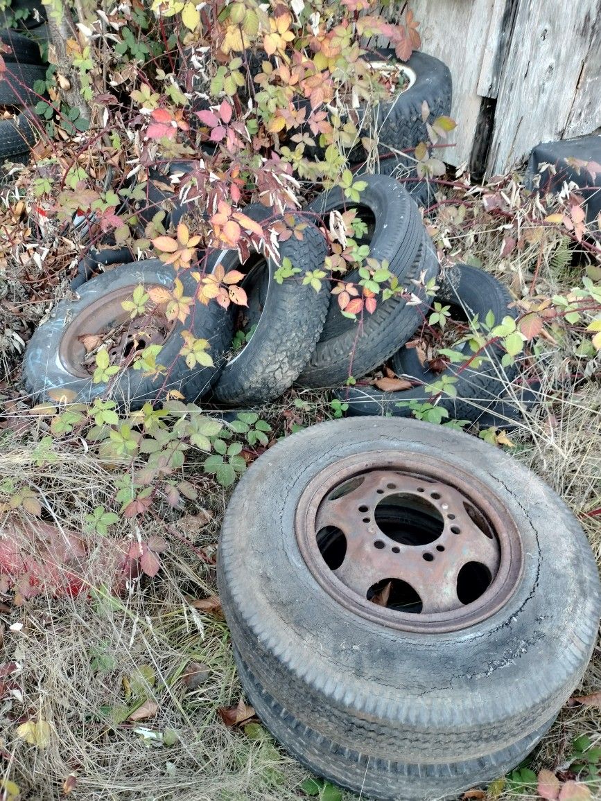 Free Tires