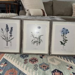 Picture Frames