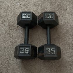 Weights And Bench