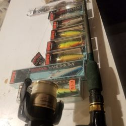 Fishing Shimano Reel Like New And New Set Of 11 Total Lures. All For $60