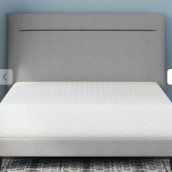 King Mattress And Box 