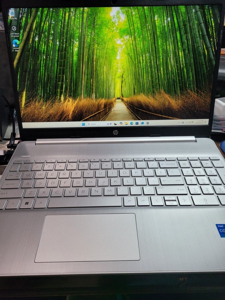 HP Laptop 15-dy5399nr 15.6" i5-1235U 1.3GHz 16GB RAM 512GB SSD